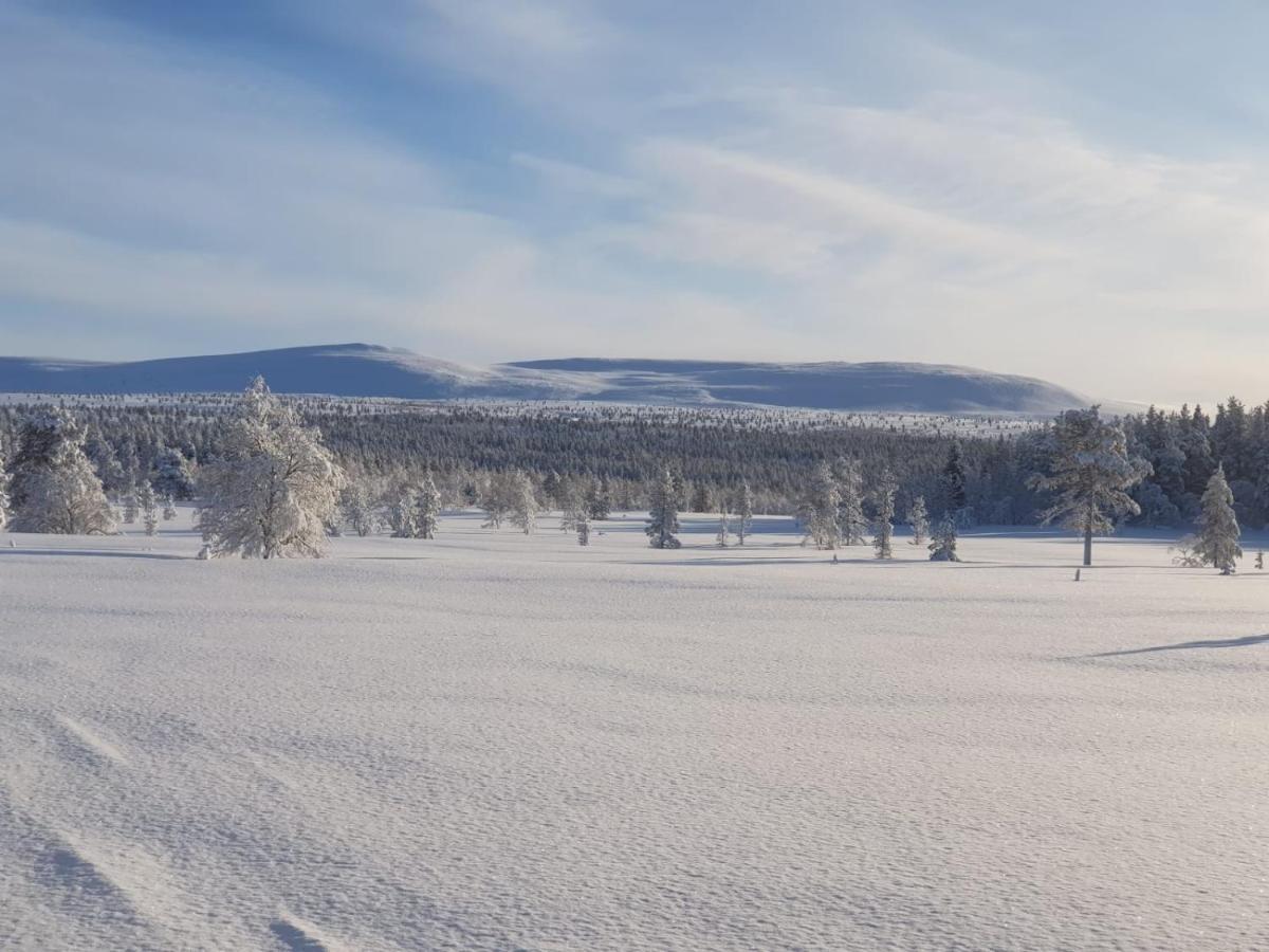 Arctic Lodge Hetan Kota Enontekis Eksteriør bilde